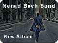 Everything Is Forever - Nenad Bach Band
